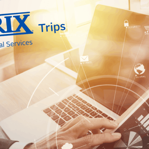 INRIX Trips For Financial Services Brochure