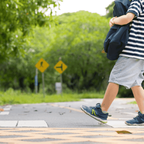 Webinar: Examining the Effectiveness of School Traffic Safety Measures in Washington D.C.